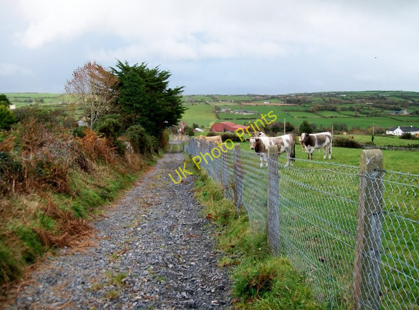 Photo 6"x4" View east along the bridleway towards Dundrinne Road Annsborough c2010
