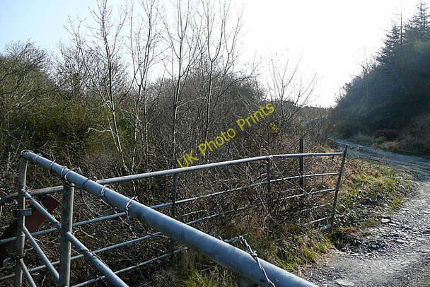 Photo 6"x4" Track at Ballyknock Kilnamona c2010