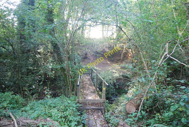 Photo 6"x4" Footbridge in Colesgrove Wood Sleeches Cross c2010
