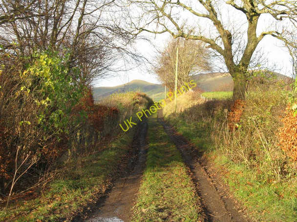 Photo 6"x4" The track to Moat Cottage Loanhead\/NT2765 c2010
