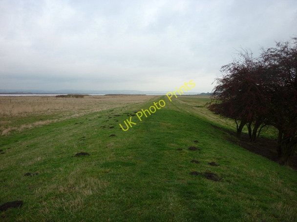Photo 6"x4" The riverside path at Trent Falls Faxfleet c2010