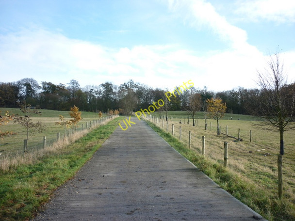Photo 6"x4" The only way is up Alkborough c2010