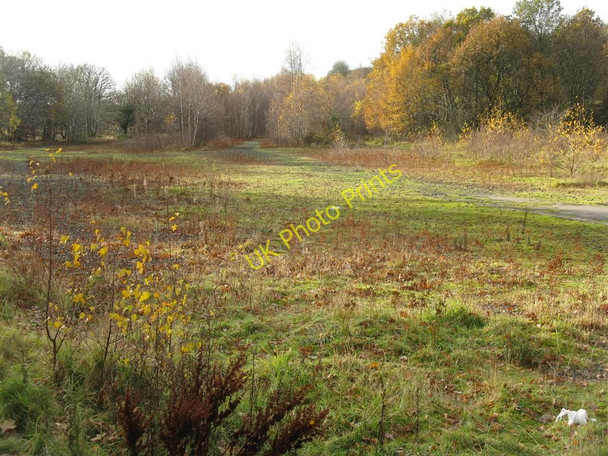 Photo 6"x4" Restored mining landscape at Loanhead Bonnyrigg c2010
