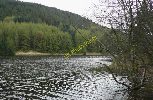 Photo 6"x4" Llyn Brianne and the Tywi Forest Cefn Ty'n-y-graig c2010