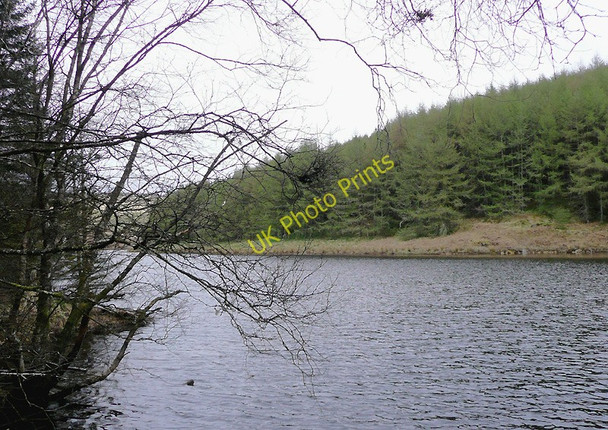 Photo 6"x4" Llyn Brianne and the Tywi Forest Cefn Ty'n-y-graig c2010
