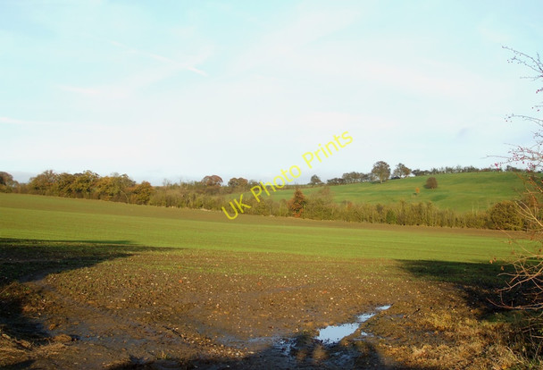 Photo 6"x4" Farm View South Woodham Ferrers c2010