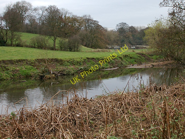 Photo 6"x4" River Darwen Roach Bridge c2007