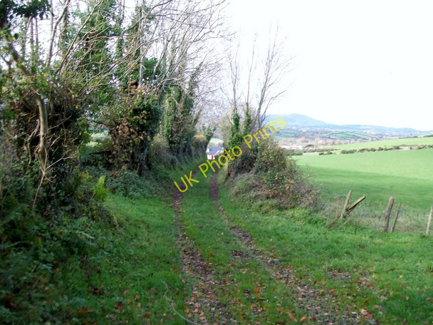 Photo 6"x4" Track linking Castle Hill and the Dromara Road Dundrum\/J4036 c2010