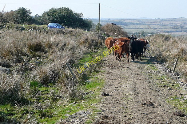 Photo 6"x4" Traffic jam near Sheeaun Kilmaley c2010