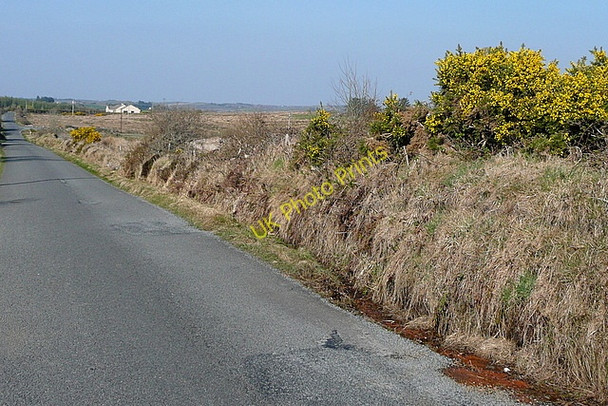 Photo 6"x4" Lane at Kilcloher Kilmaley c2010