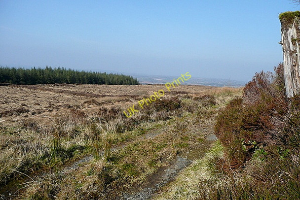 Photo 6"x4" Track north of Ben Dash Connolly c2010