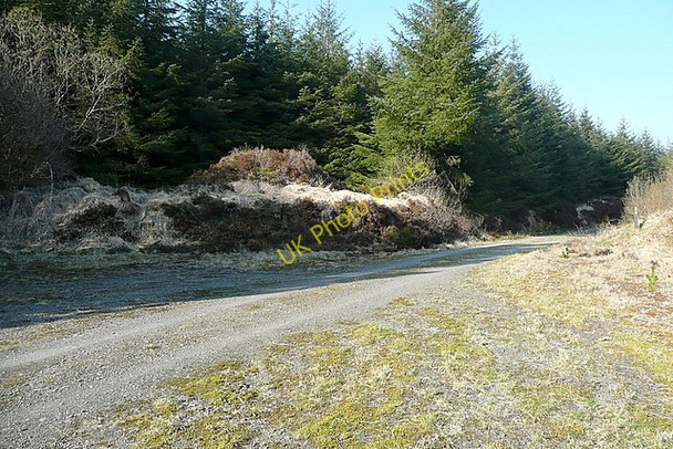 Photo 6"x4" Track over Ben Dash Liscasey c2010