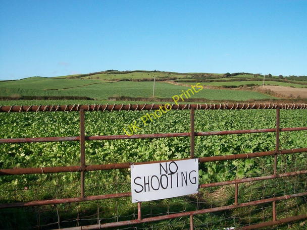 Photo 6"x4" Farmland on the eastern slopes of Cloghram Hill Dundrum\/J4036 c2010