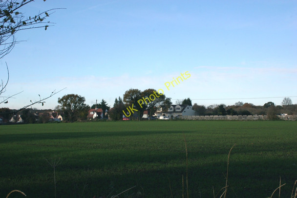 Photo 6"x4" Field View Hawkwell\/TQ8591 c2010