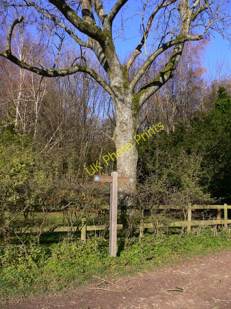 Photo 6"x4" Bridleway sign near South Harting North Marden c2010
