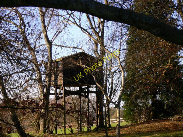 Photo 6"x4" House on stilts by bridleway North Marden c2010