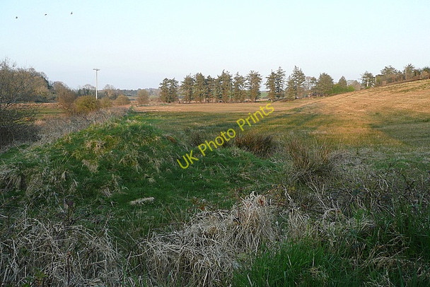 Photo 6"x4" Grazing land at Barnanageeha Derragh c2010