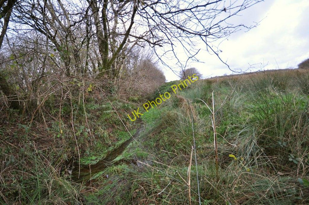 Photo 6"x4" A stream leaving Frog Moor just prior to passing under the B3230 Bittadon c2010