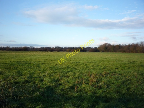 Photo 6"x4" Walmgate stray York\/SE5951 c2010