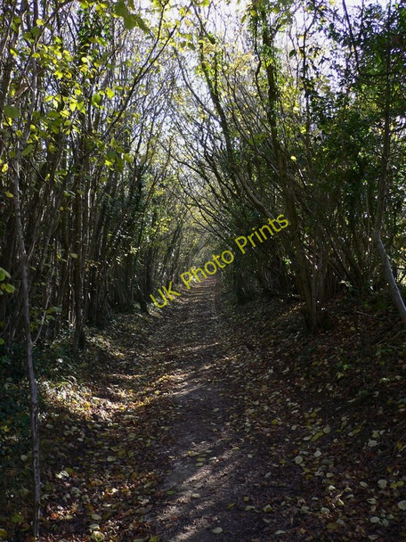 Photo 6"x4" Byway to Hooksway Hooksway c2010