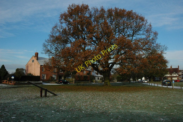 Photo 6"x4" See-saw and oak tree, Hallow Hallow c2010