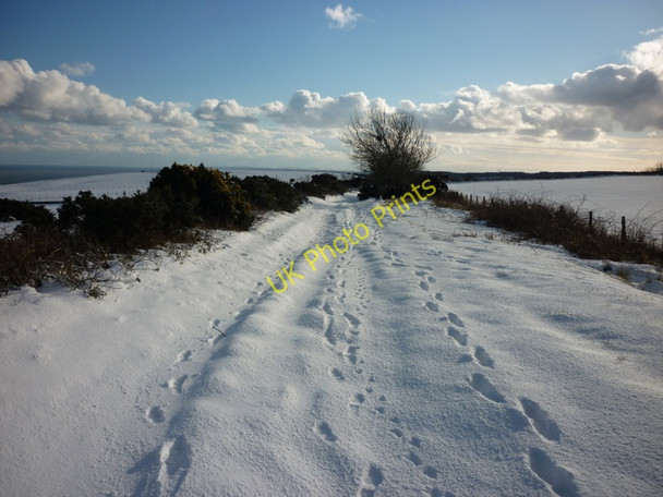 Photo 6"x4" The disused railway track near Bent Rigg Farm Ravenscar c2010