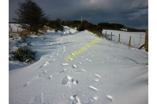 Photo 6"x4" The snow is getting deep around here Ravenscar c2010