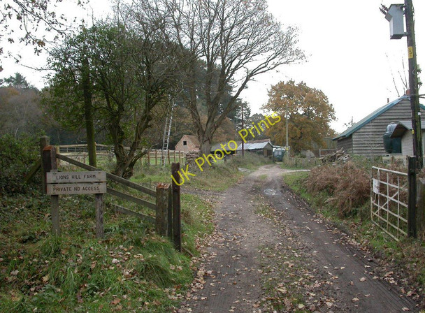 Photo 6"x4" Ashley Heath, Lions Hill Farm Ashley Heath\/SU1104 c2010