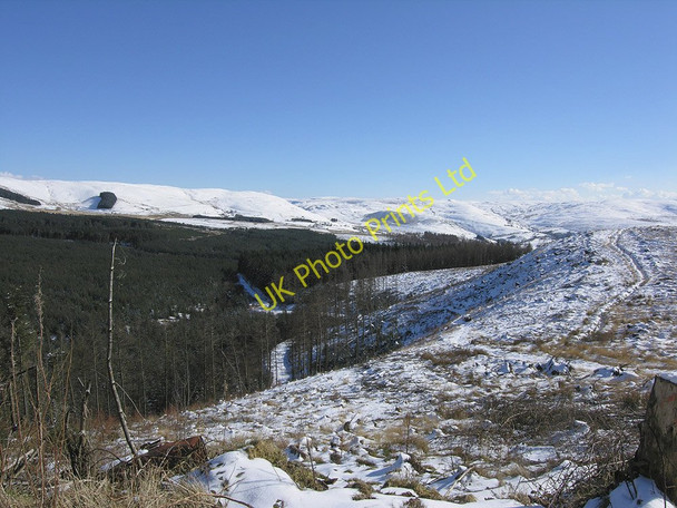 Photo 6"x4" The Myherin forest in winter Cwmystwyth c2006