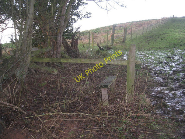 Photo 6"x4" Redundant stile Irthington c2010