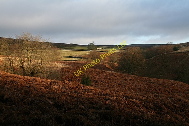 Photo 6"x4" Hudson Gill Howgill\/SE0659 c2008