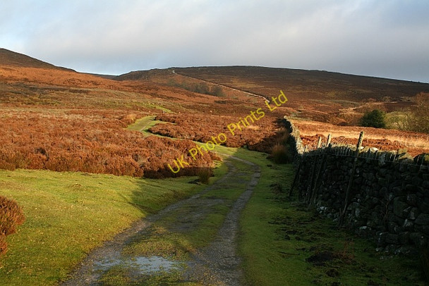 Photo 6"x4" Track up Barden Fell Howgill\/SE0659 c2008