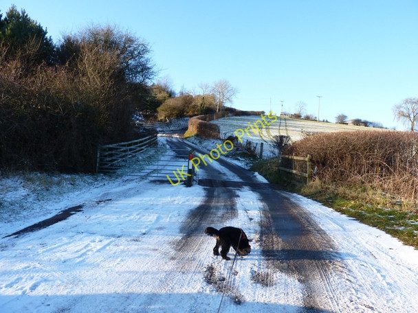 Photo 6"x4" Cattle grid and a steep hill at Stedment Bridges\/SO3996 c2010
