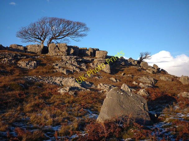 Photo 6"x4" Newbiggin Crags Newbiggin\/SD5579 c2010
