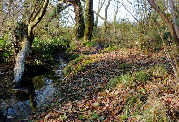 Photo 6"x4" Brook in Park Coppice, Colton Hills, Wolverhampton Sedgley c2010