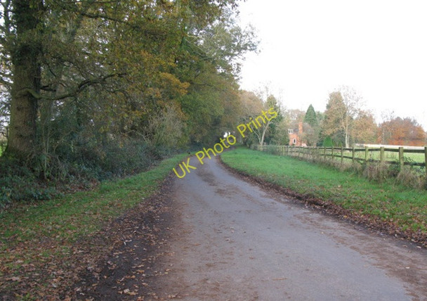 Photo 6"x4" View along Gambledown Lane near Tote Hill Newtown\/SU3023 c2010
