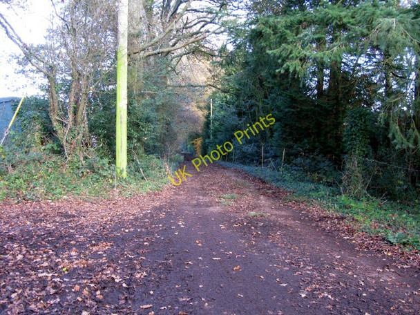 Photo 6"x4" Bridleway leading from Gambledown Lane Carter's Clay c2010