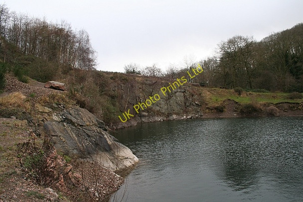 Photo 6"x4" Eastern End of the Gullet Quarry Chandler's Cross\/SO7738 c2008