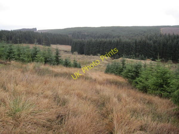 Photo 6"x4" View of Lewis Burn Valley Low Long Ho c2010