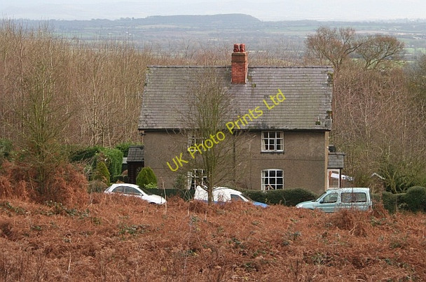 Photo 6"x4" Cottages near the Gullet Chandler's Cross\/SO7738 c2008