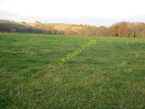 Photo 6"x4" Meadow near Lower Hubbage Thornbury\/SO6259 c2010