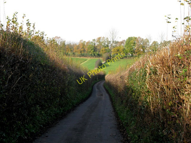 Photo 6"x4" View looking NW along Mount Lane Carter's Clay c2010