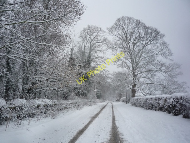 Photo 6"x4" Windmill Lane Heslington c2010