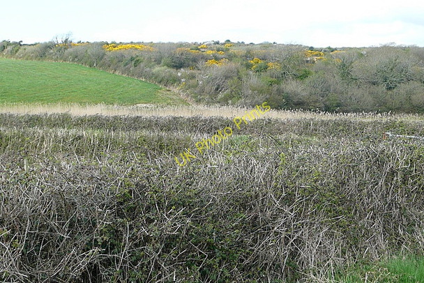 Photo 6"x4" Rough land at Goleensallagh Loghill c2010