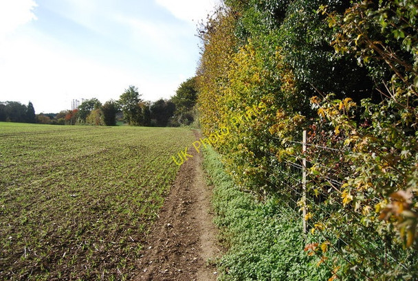Photo 6"x4" Footpath along the hedge Sittingbourne c2010