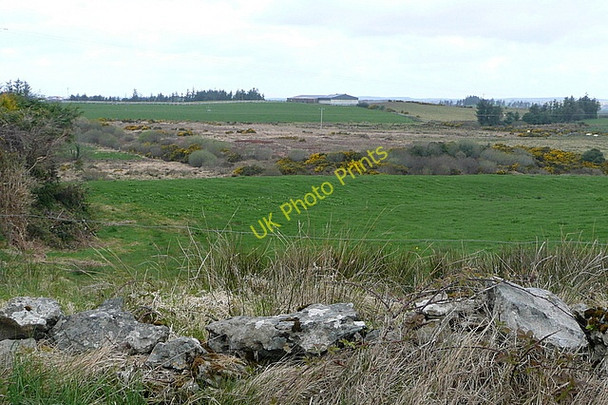 Photo 6"x4" Land at Knockanira Derragh c2010