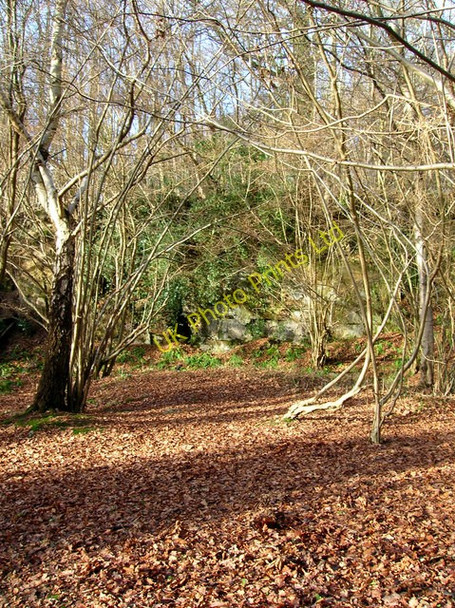 Photo 6"x4" Sandstone Outcrops, Birchden Wood Birchden c2008