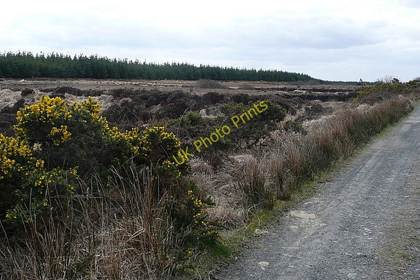 Photo 6"x4" Peat bog near Dehomad Liscasey c2010