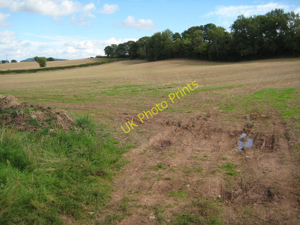 Photo 6"x4" Stubble field at Kilpeck Kilpeck c2010