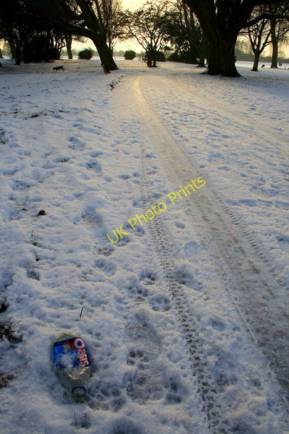 Photo 6"x4" An Oasis in the snow Long Eaton c2010